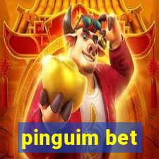 pinguim bet